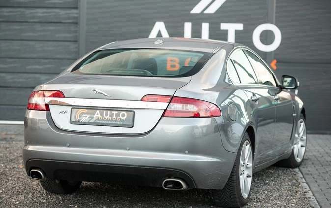 Jaguar XF cena 47900 przebieg: 222000, rok produkcji 2008 z Suchedniów małe 191